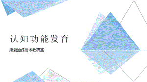 认知功能发育ppt课件.pptx