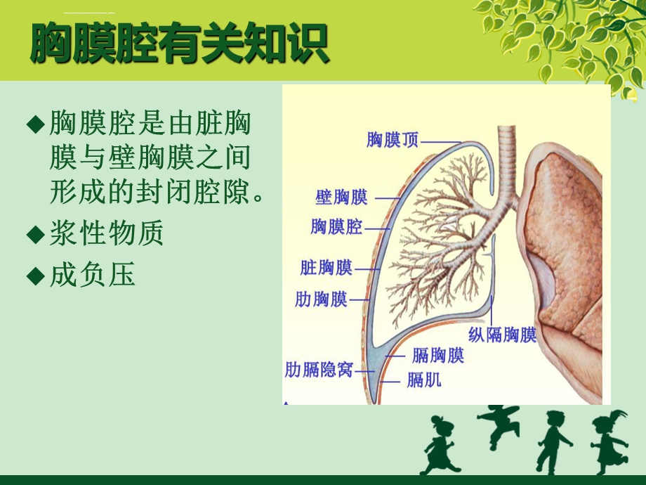 胸腔引流管的护理ppt课件.ppt_第3页