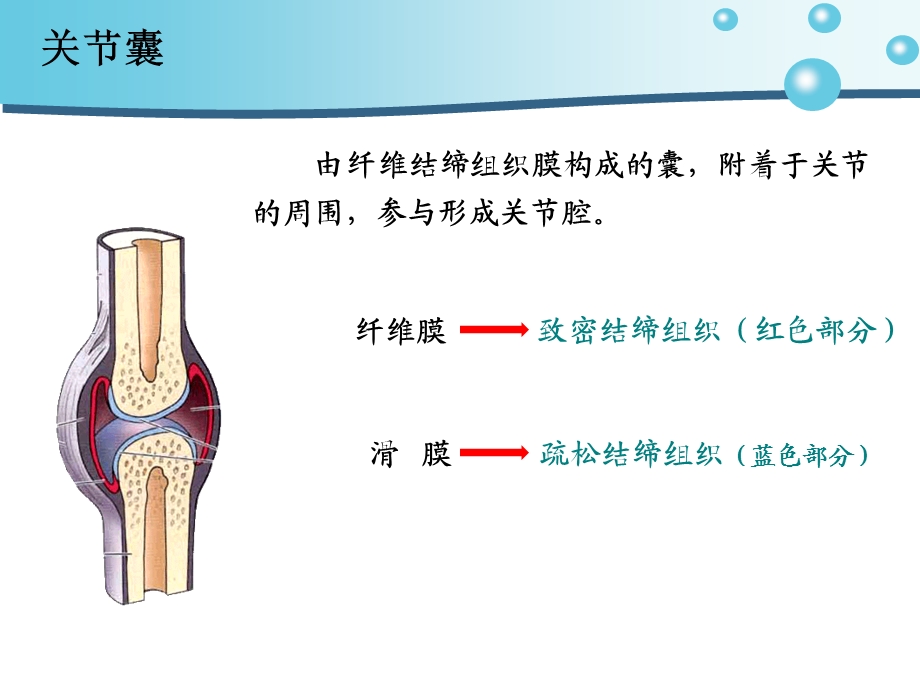 肩关节脱位病人的护理ppt课件.ppt_第3页