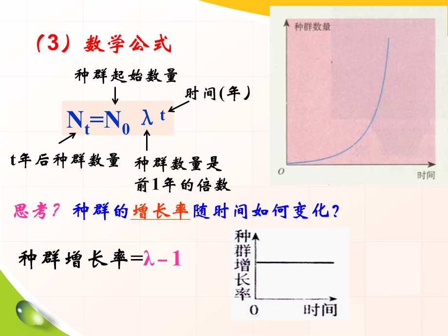 血细胞计数板ppt课件.ppt_第3页