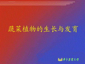 蔬菜生长发育周期ppt课件.ppt