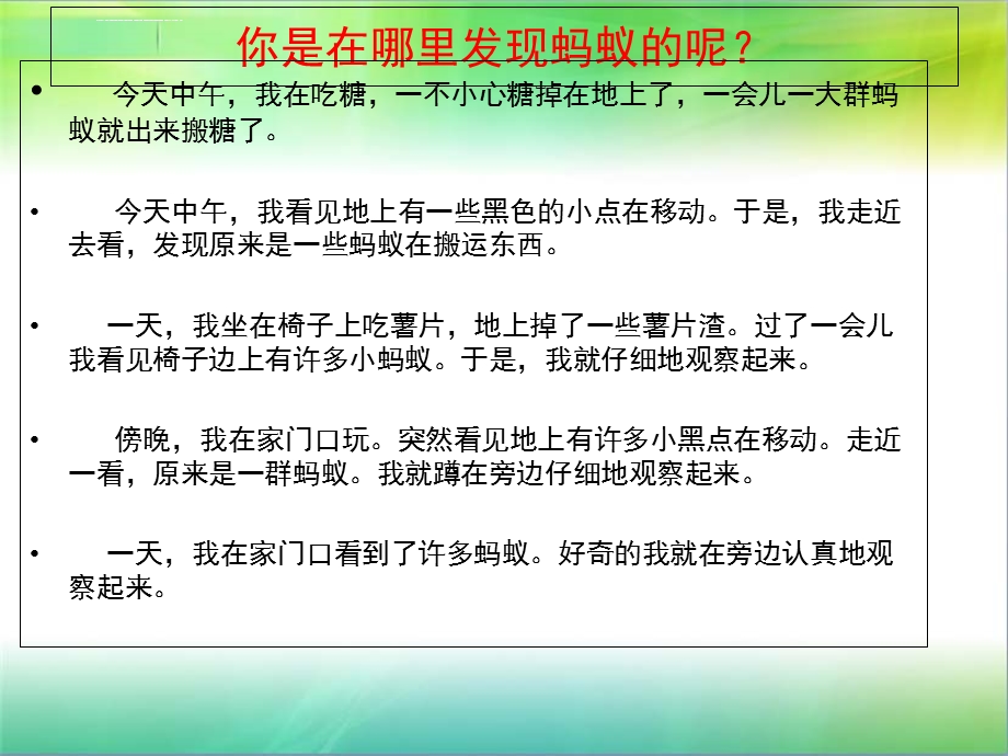 观察蚂蚁作文ppt课件.ppt_第3页