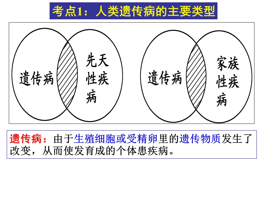 第22讲遗传与人类健康ppt课件.ppt_第3页