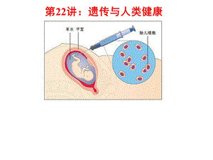 第22讲遗传与人类健康ppt课件.ppt