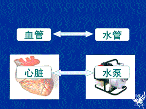 输送血液的泵—心脏ppt课件.ppt