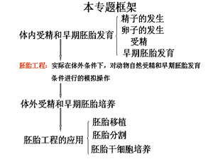 胚胎工程一轮ppt课件.ppt