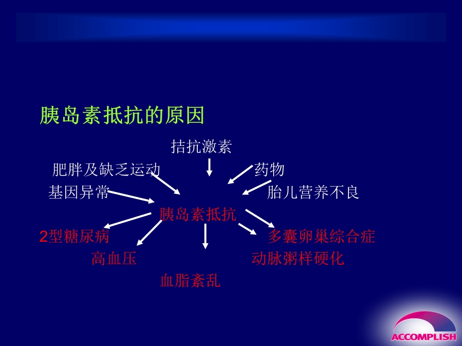 胰岛素抵抗与代谢综合征的评估及诊断ppt课件.ppt_第3页