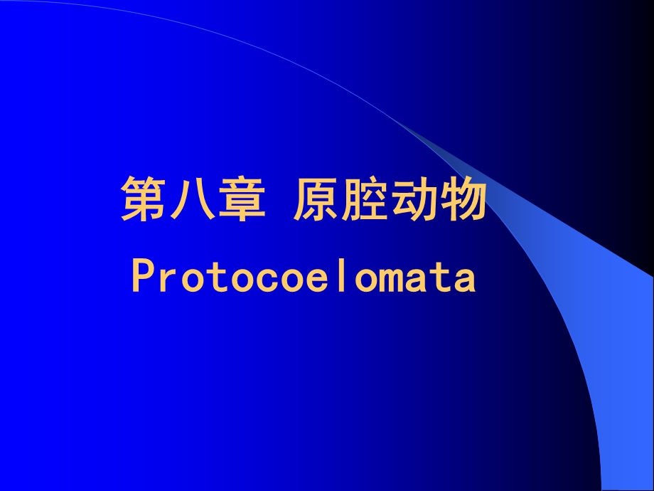 第八章原腔动物门 ppt课件.ppt_第2页