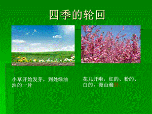 跟随生命的节奏ppt课件.ppt