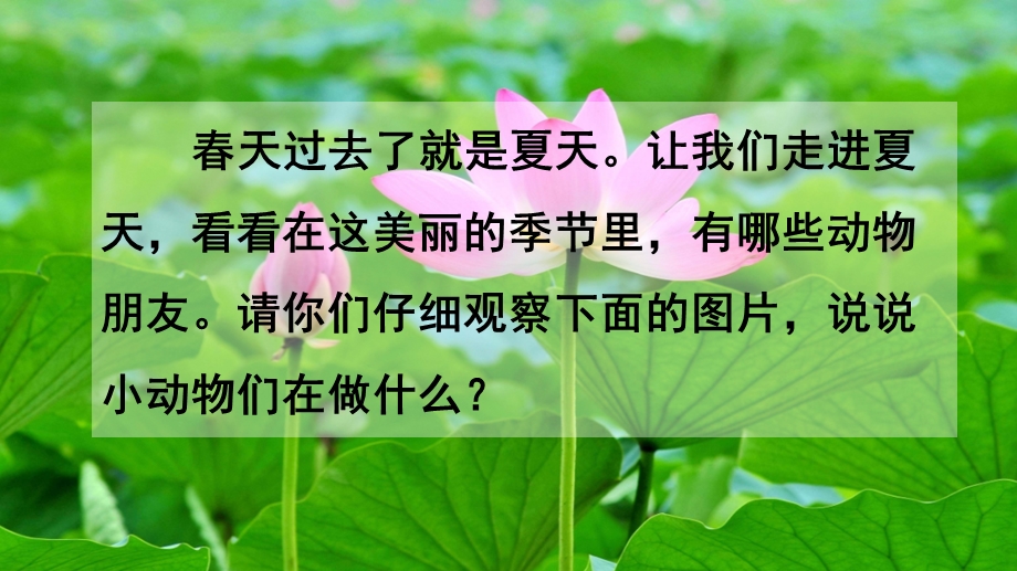 部编版语文一年级下册ppt教学课件识字5：动物儿歌.pptx_第1页