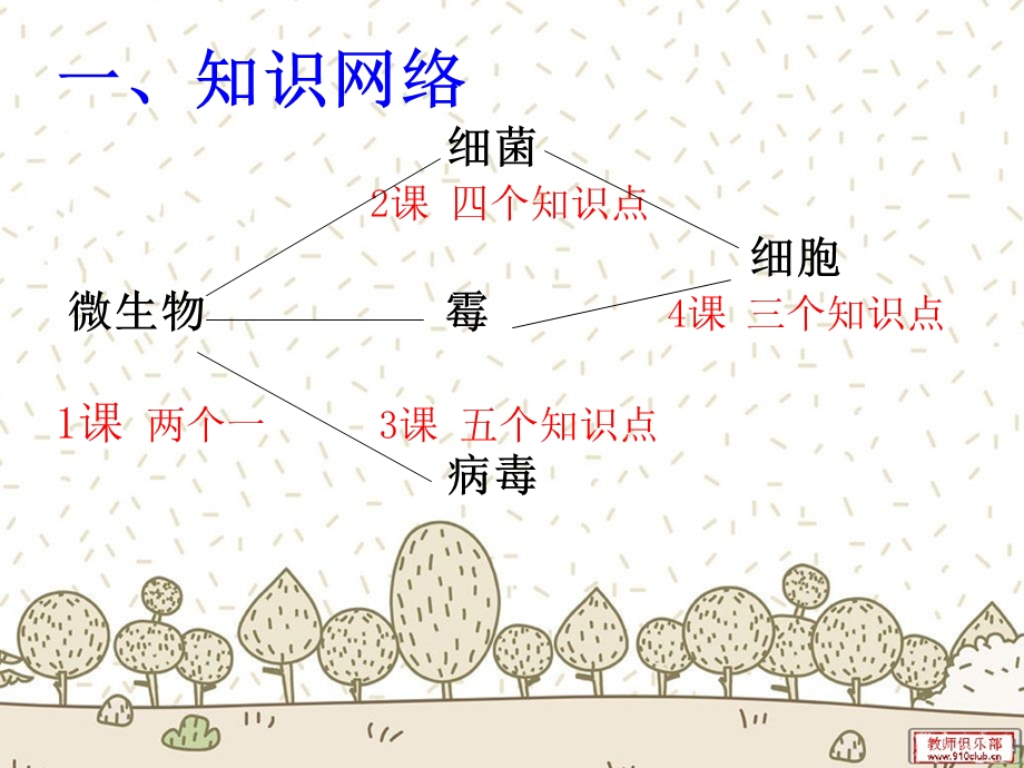 苏教版六年级上册科学第一单元复习课ppt课件.ppt_第3页