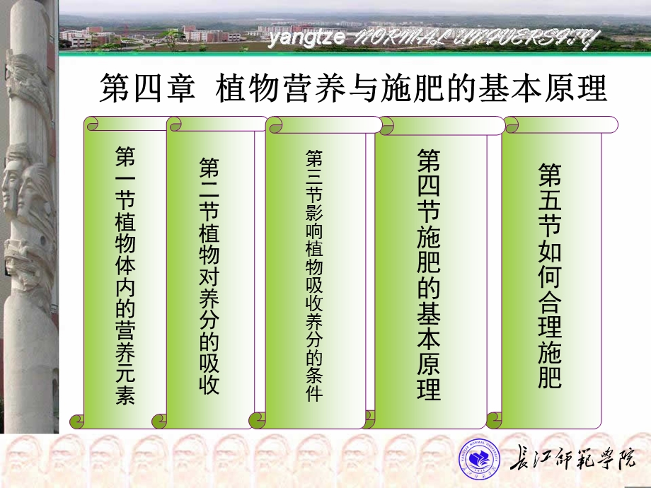 第四章植物营养与施肥的基本原理ppt课件.ppt_第2页