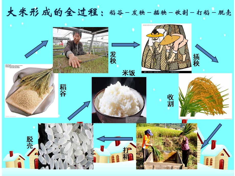 课前文化小点心爱惜粮食ppt课件.ppt_第3页