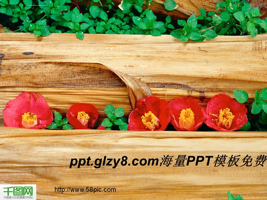 色彩鲜丽的红花绿叶毕业答辩ppt模板课件.ppt_第1页