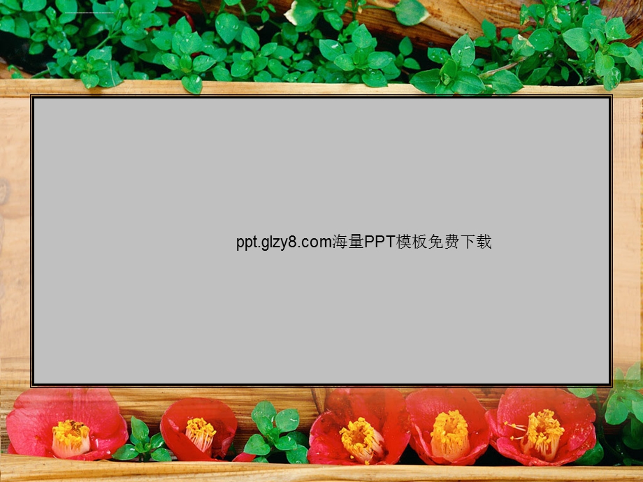 色彩鲜丽的红花绿叶毕业答辩ppt模板课件.ppt_第2页