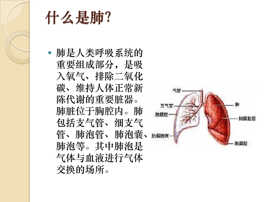 肺癌健康教育ppt课件.pptx_第2页
