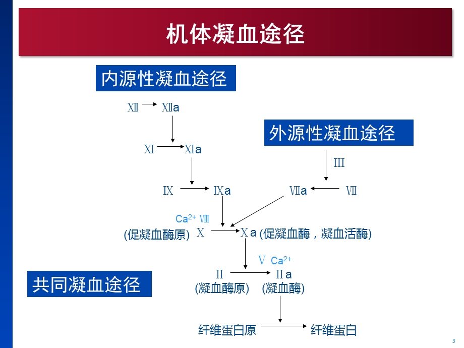 达比加群的抗凝监测ppt课件.pptx_第3页