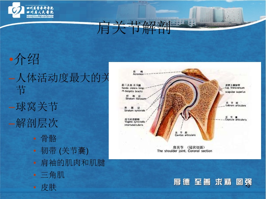 肩关节镜技术(课堂ppt)课件.ppt_第3页