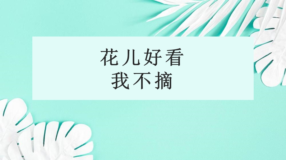 花儿好看我不摘ppt课件.pptx_第1页