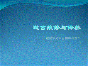 道岔维修与保养——定稿ppt课件.ppt