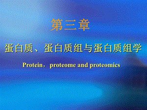 蛋白质与蛋白组学ppt课件.ppt