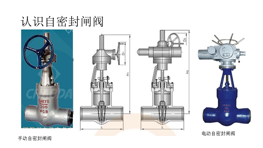 闸阀检修简介ppt课件.pptx_第2页