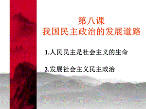 经济政治与社会第八课ppt课件.ppt