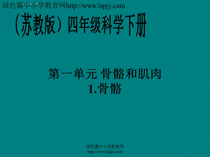 苏教版小学四年级下册科学全册PPT课件.ppt