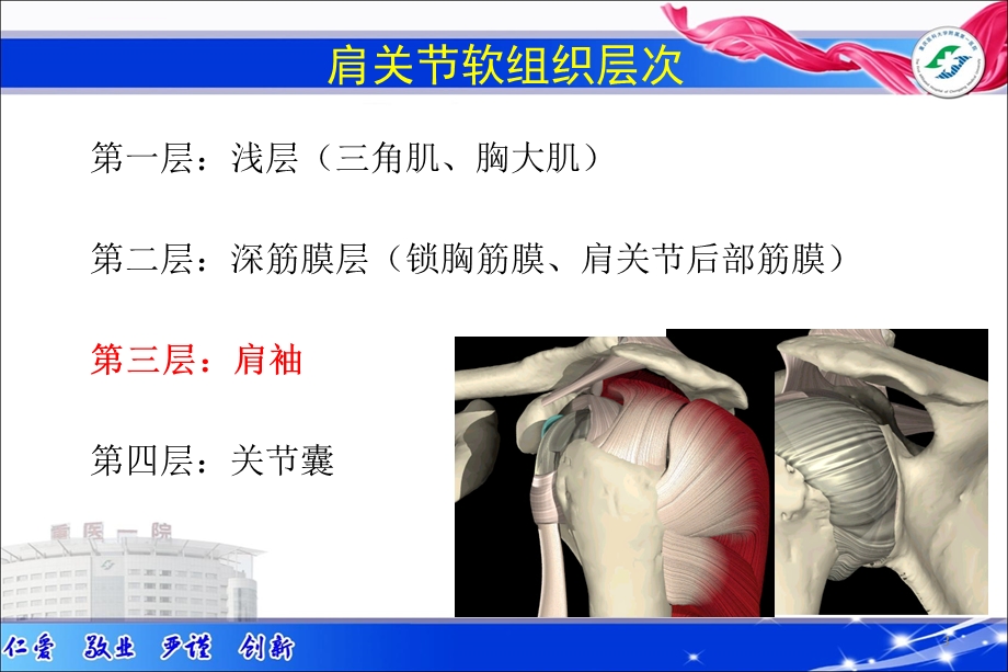 肩关节常见疾病诊疗ppt参考幻灯片课件.ppt_第3页