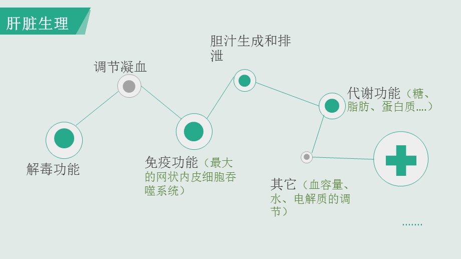 肝功能常见指标解读ppt课件.pptx_第3页