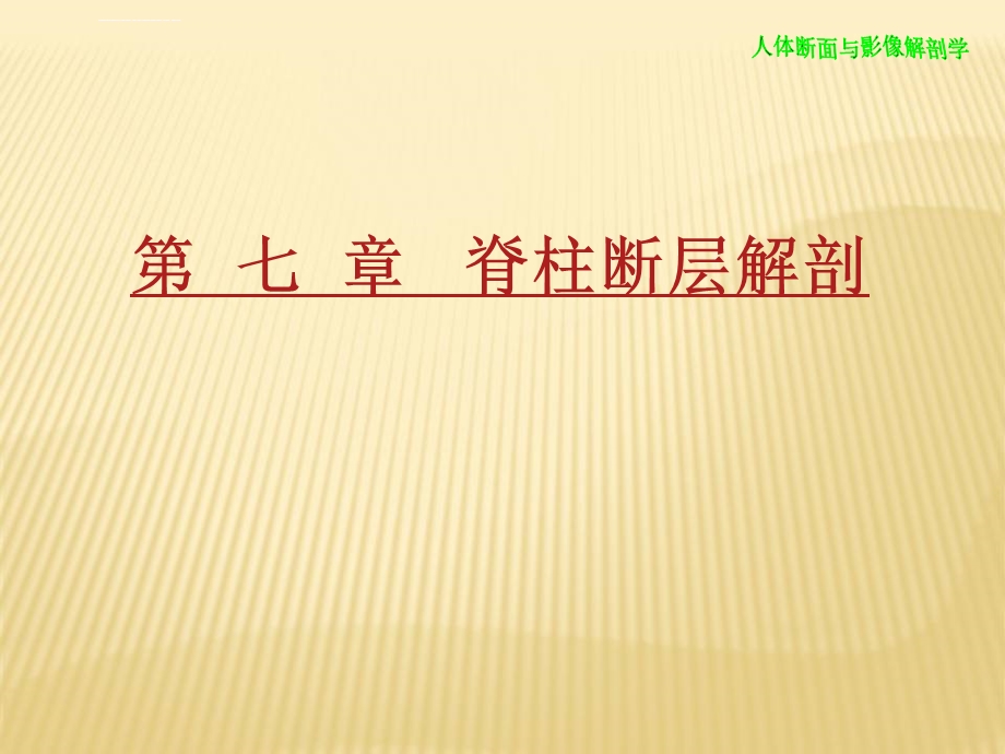 脊柱断层解剖ppt课件.ppt_第1页