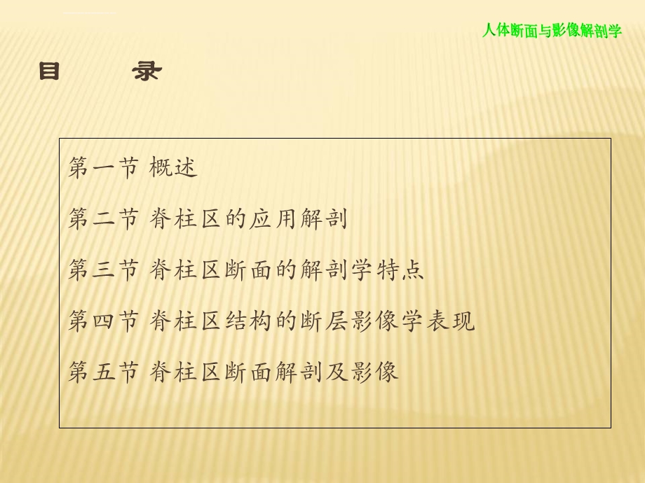 脊柱断层解剖ppt课件.ppt_第2页