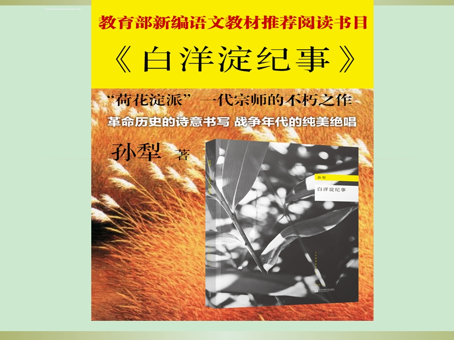 部编版七年级上册自主推荐名著《白洋淀纪事》导读ppt课件.ppt_第1页