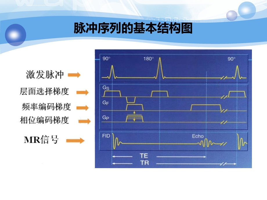 自旋回波SE序列和梯度回波GRE序列ppt课件.ppt_第2页