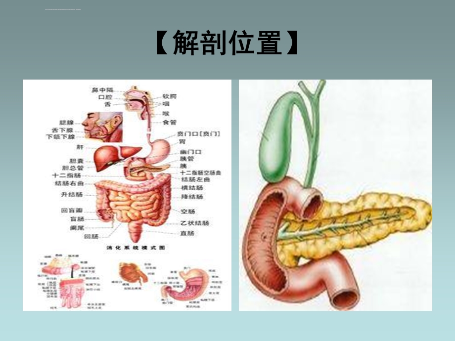 胰腺癌病人的护理ppt课件.ppt_第3页