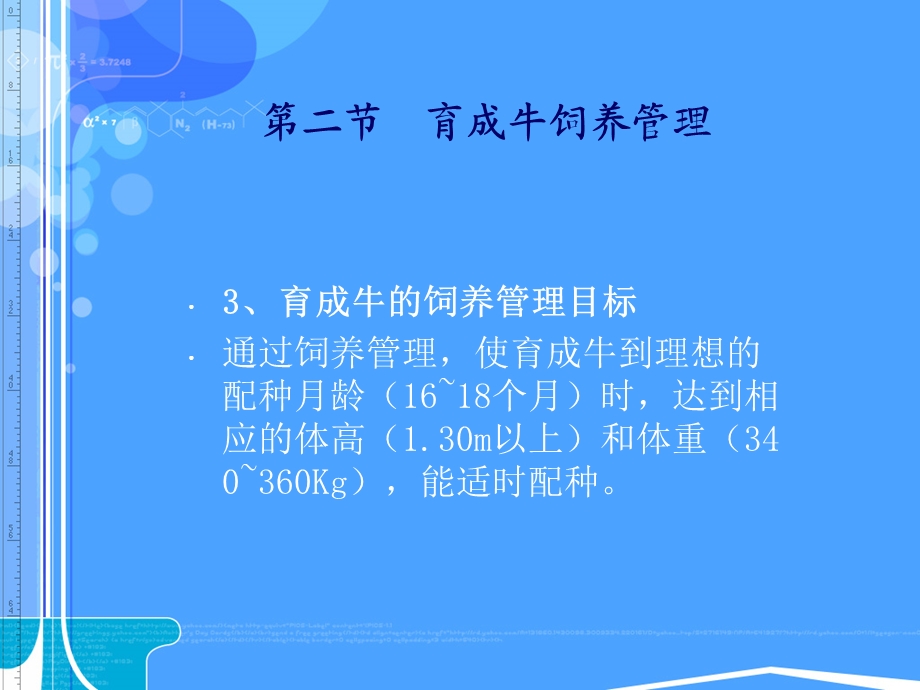 育成牛饲养管理ppt课件.ppt_第3页