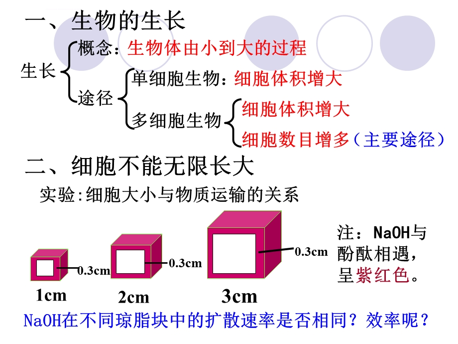 细胞的生命历程一轮复习ppt课件.ppt_第3页