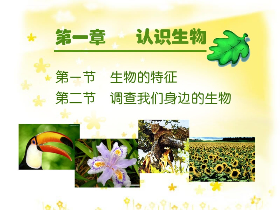 认识生物总复习ppt课件.ppt_第2页