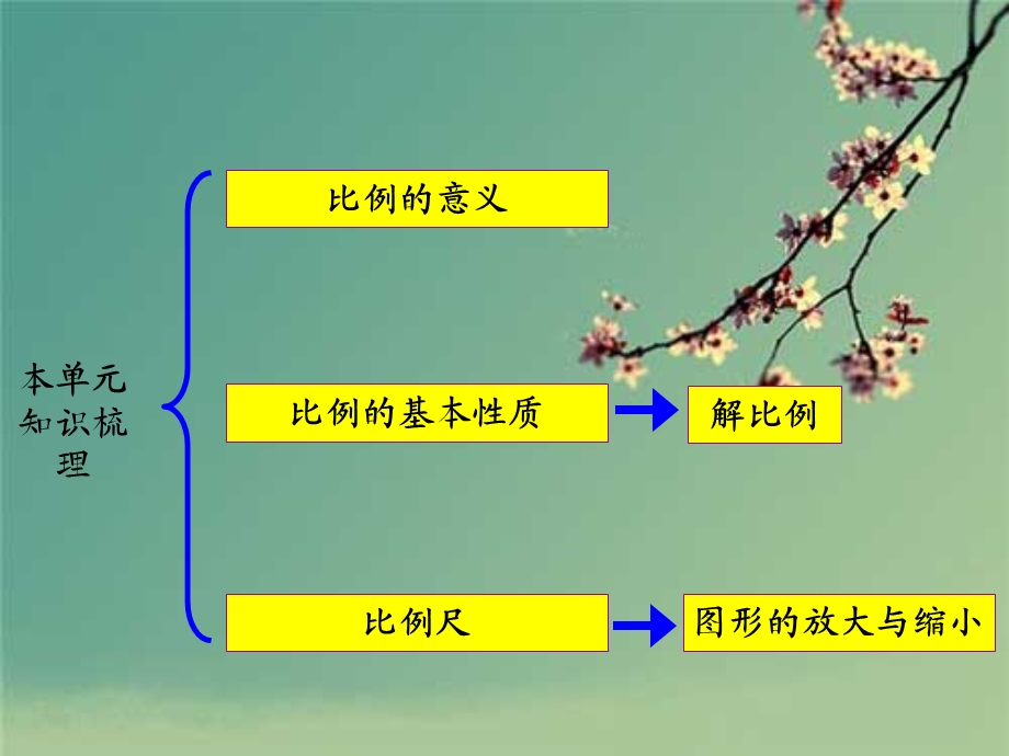 苏教版六年级下册比例单元复习ppt课件.ppt_第2页