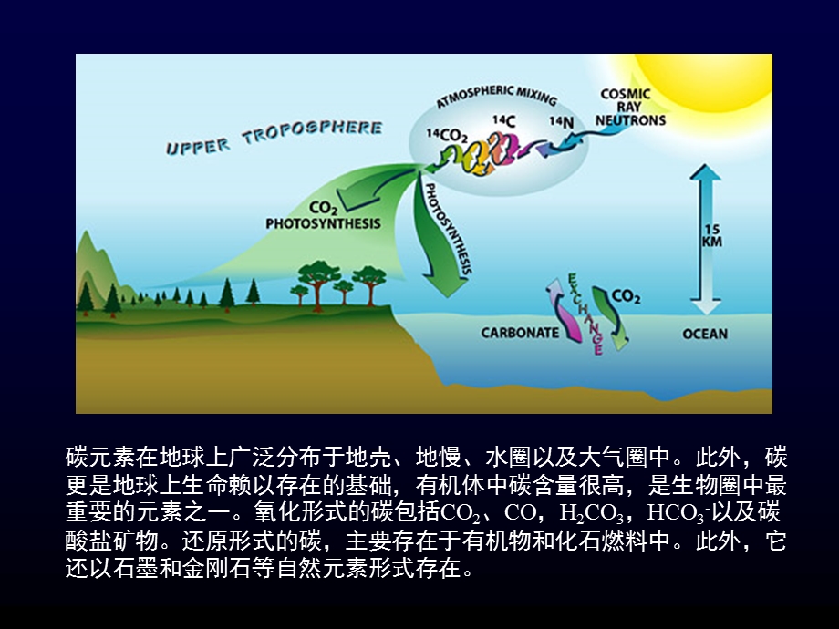 第四章（碳同位素）ppt课件.ppt_第3页