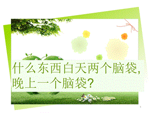 袋鼠介绍ppt课件.ppt