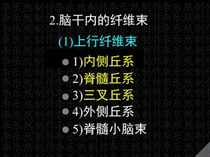 脑干内纤维束ppt课件.ppt