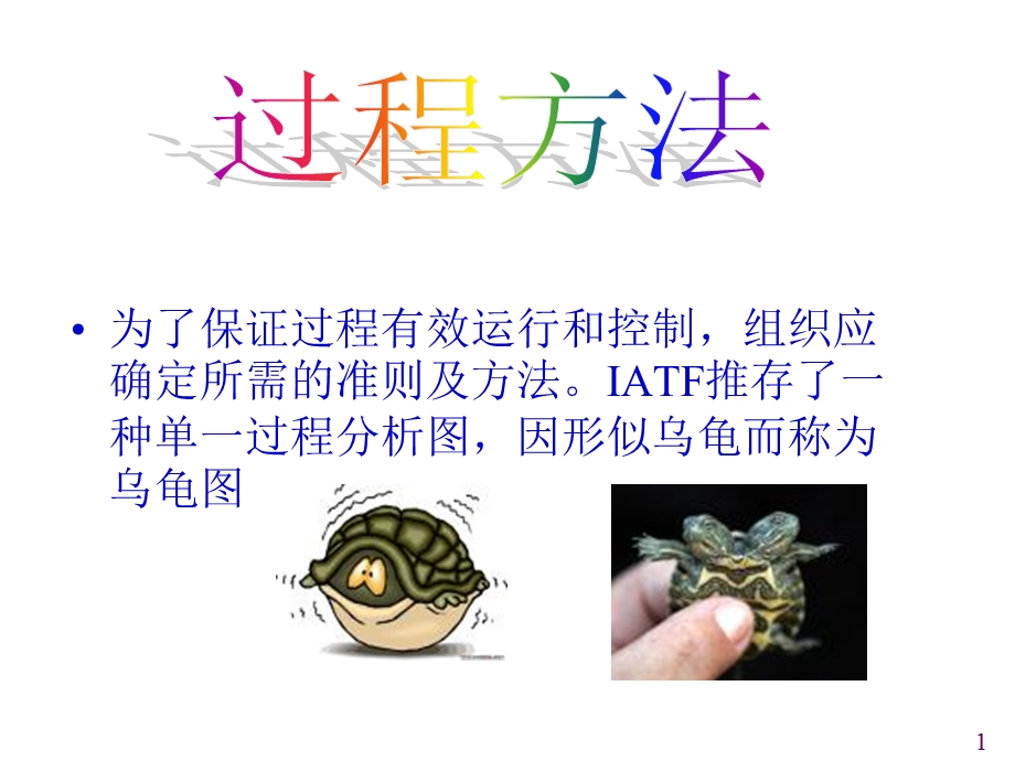 过程方法应用乌龟图ppt课件.ppt_第1页