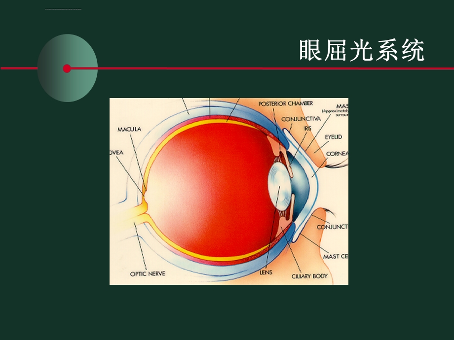 老视原理进修班ppt课件.ppt_第2页