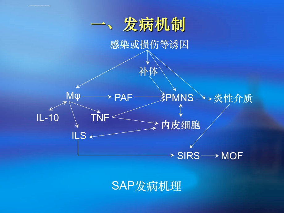 重症急性胰腺炎诊治进展ppt课件.ppt_第2页