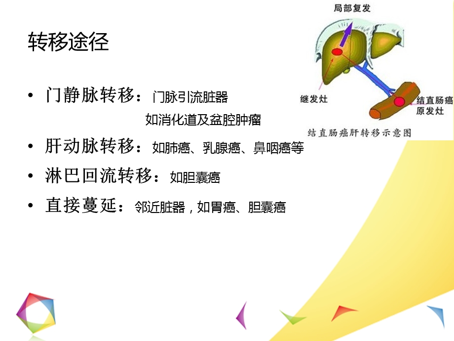 肝转移瘤的影像诊断和鉴别诊断ppt课件.ppt_第3页