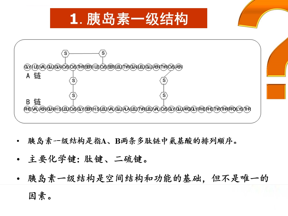 胰岛素的蛋白质结构ppt课件.ppt_第3页