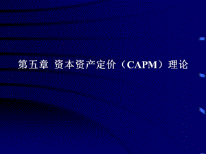 资本资产定价(CAPM)理论ppt课件.ppt