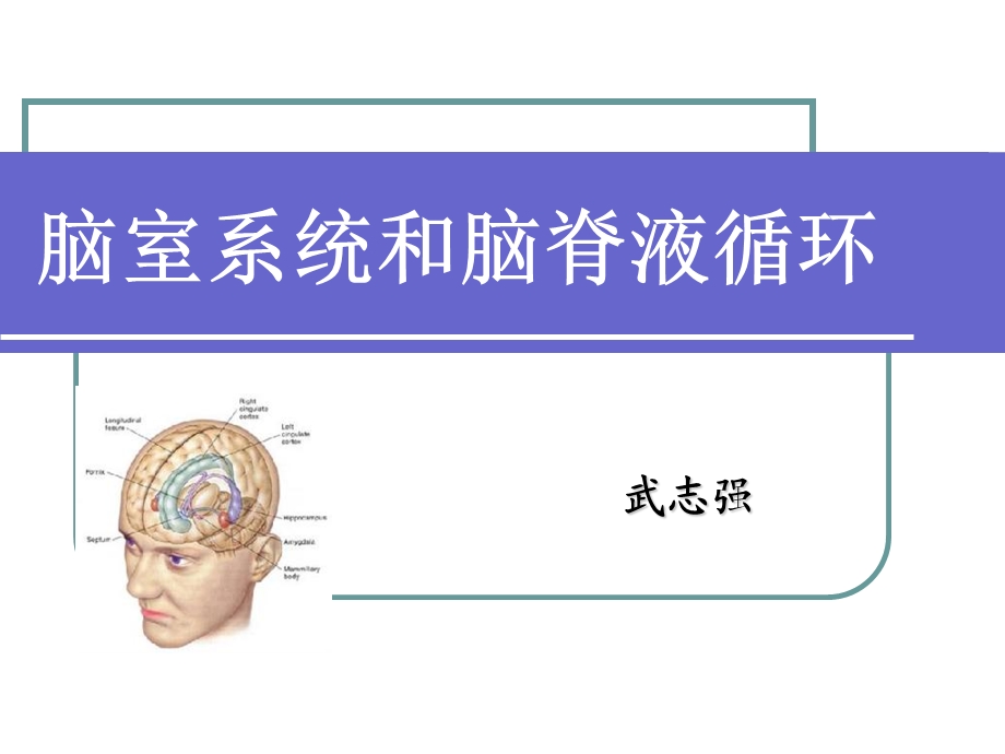 脑室系统及脑脊液循环ppt课件.ppt_第1页