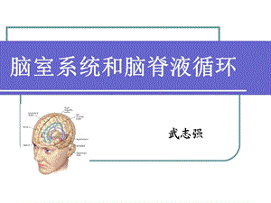 脑室系统及脑脊液循环ppt课件.ppt